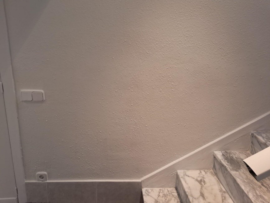 Reparación pared despues